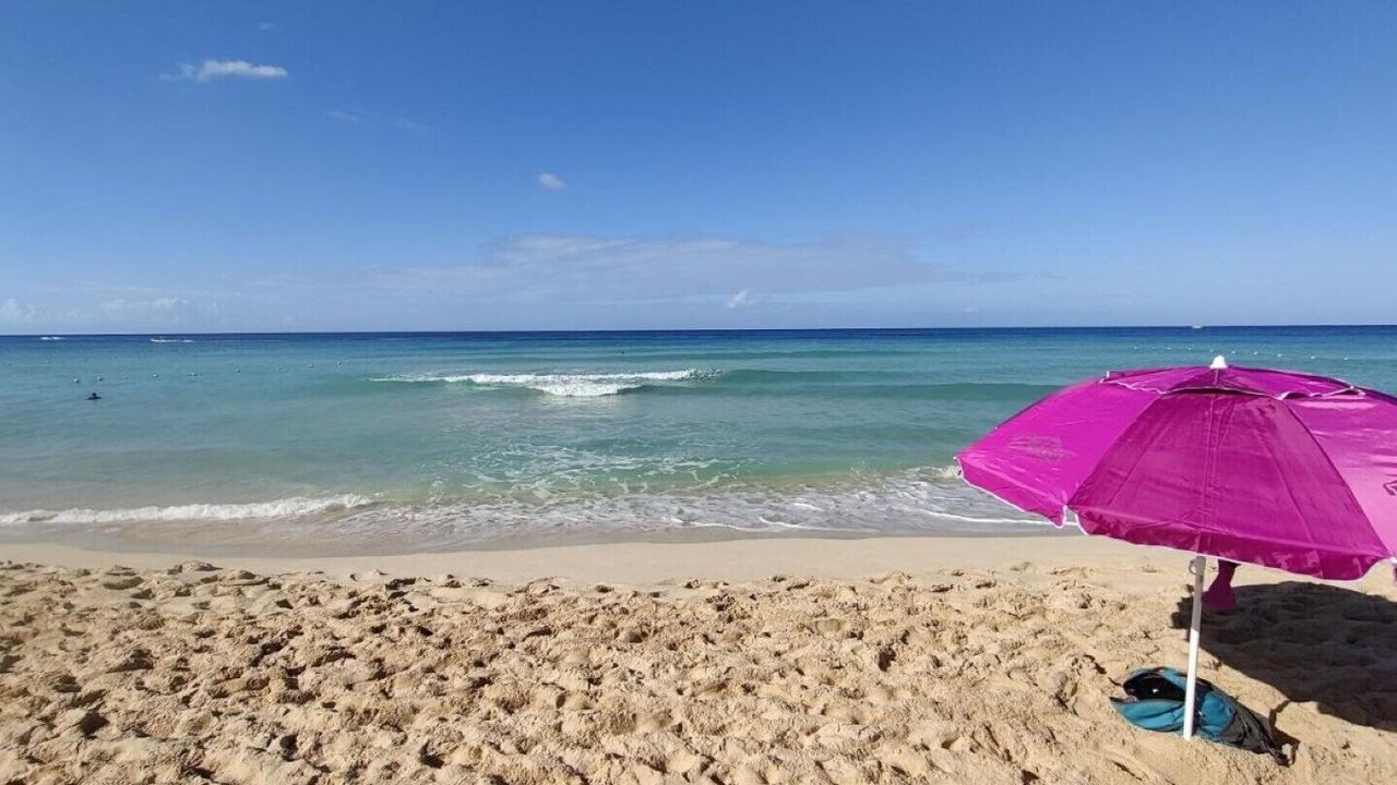Photo of Others in Dominicus
