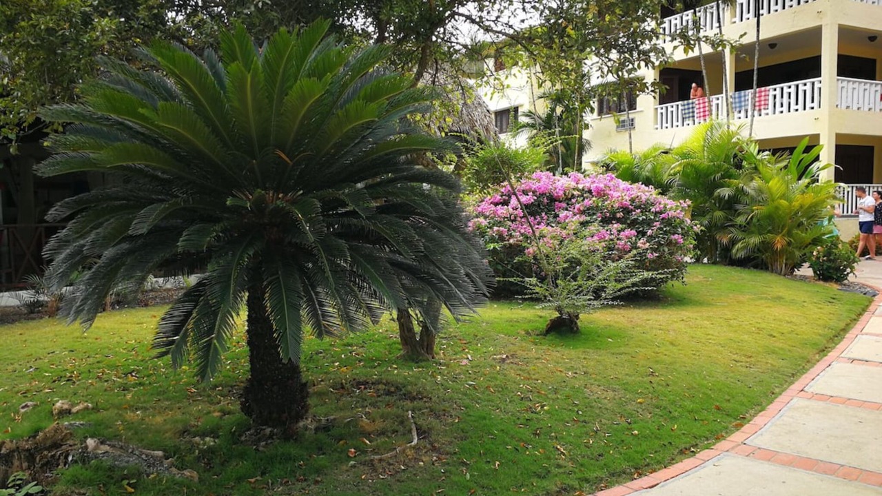 Photo of Outdoor in Reparto Ibarra