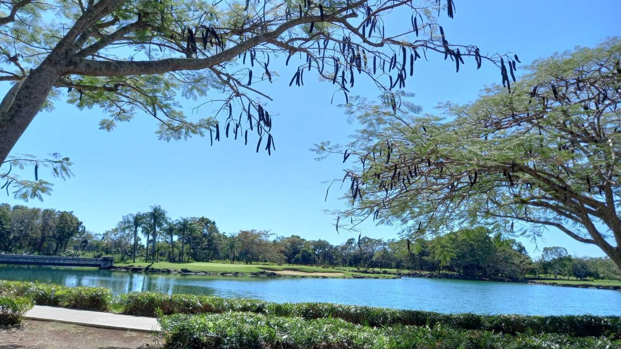 Photo of Others in Guayacanes