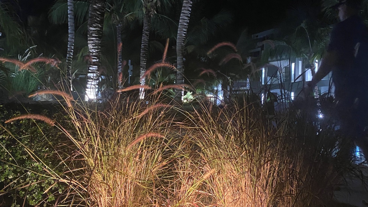 Photo of Outdoor in Dominicus