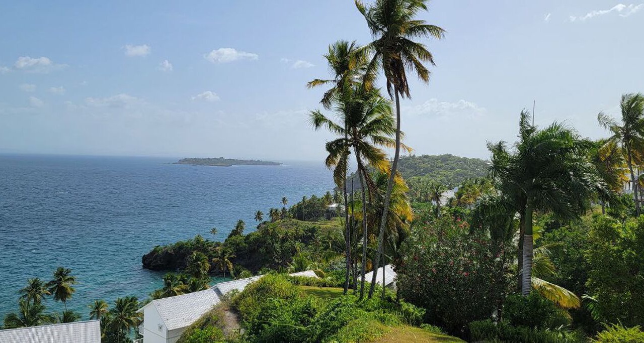 Photo of Others in Samana
