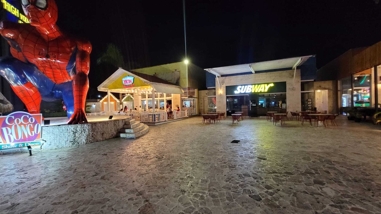 Photo of Others in Playa Bibijagua