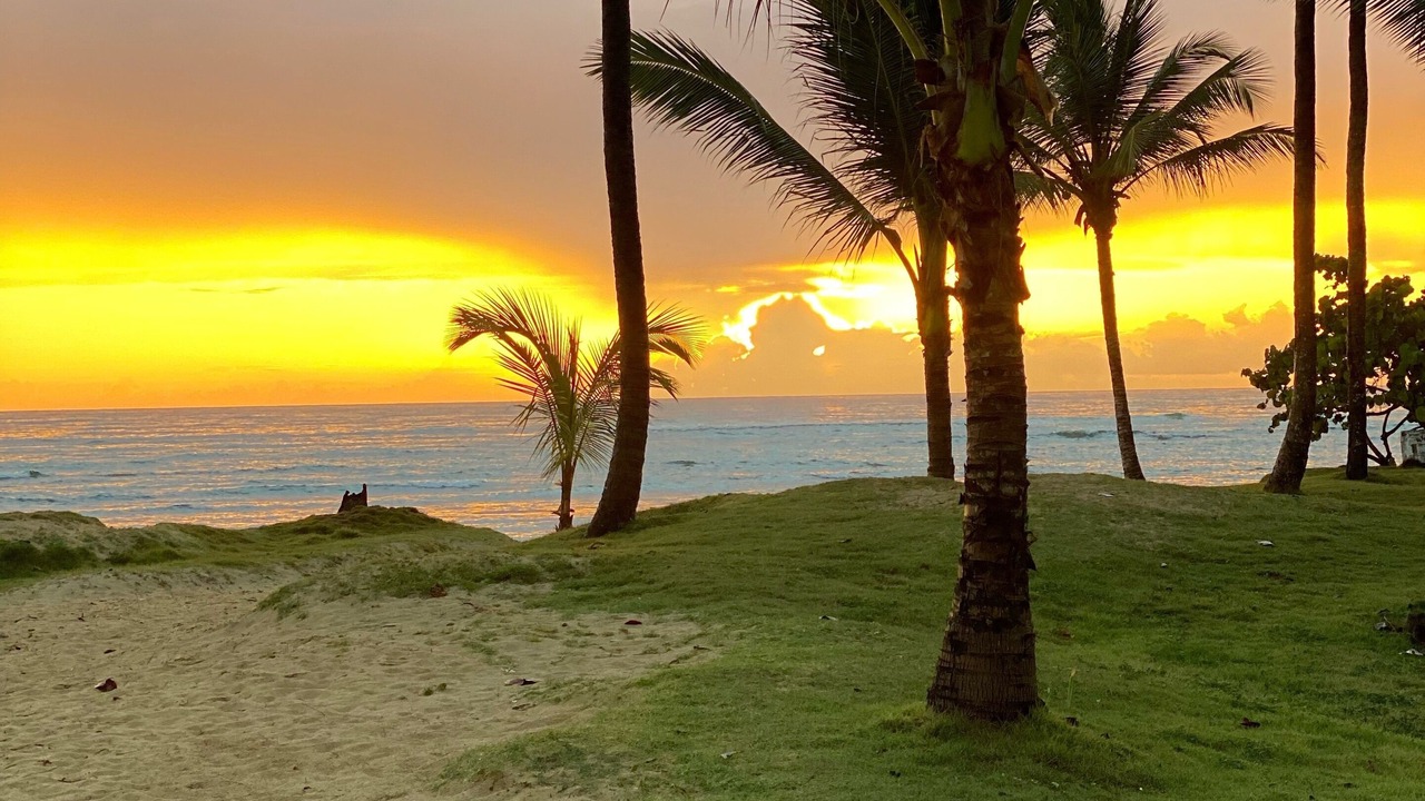 Photo of Others in Punta Cana