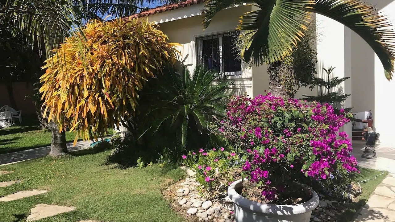 Photo of Outdoor in La Esplanada