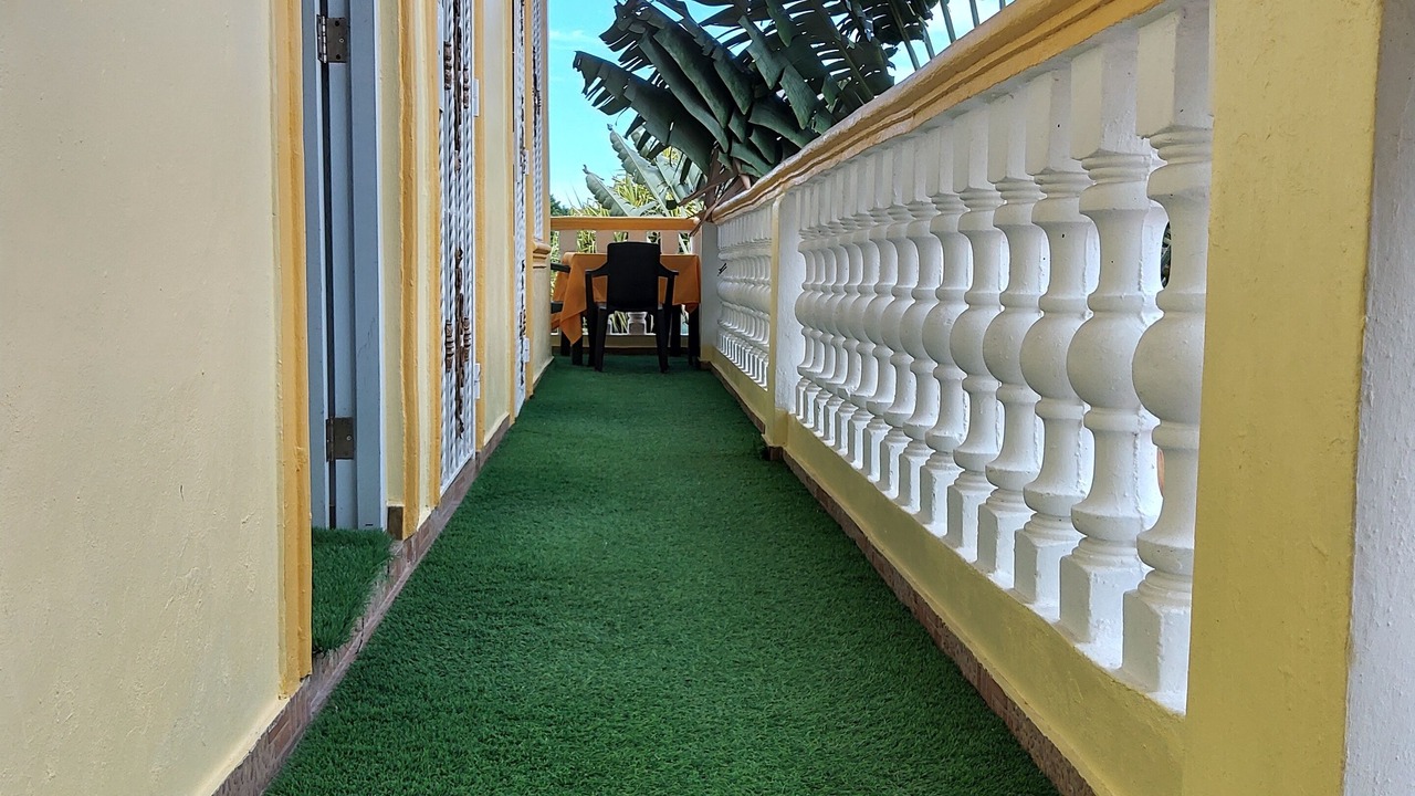 Photo of Outdoor in Boca Chica
