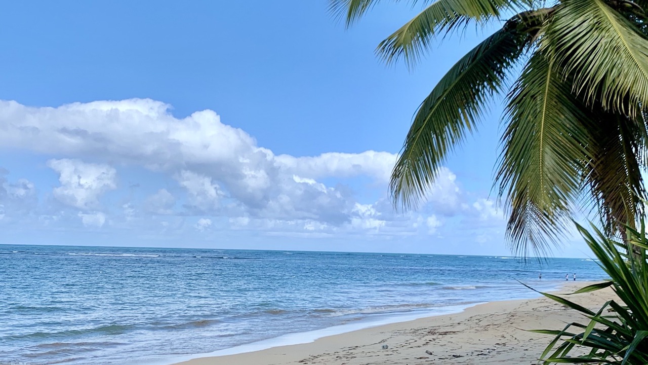 Photo of Others in Las Terrenas