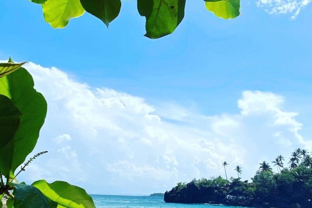 Photo of Others in Samana