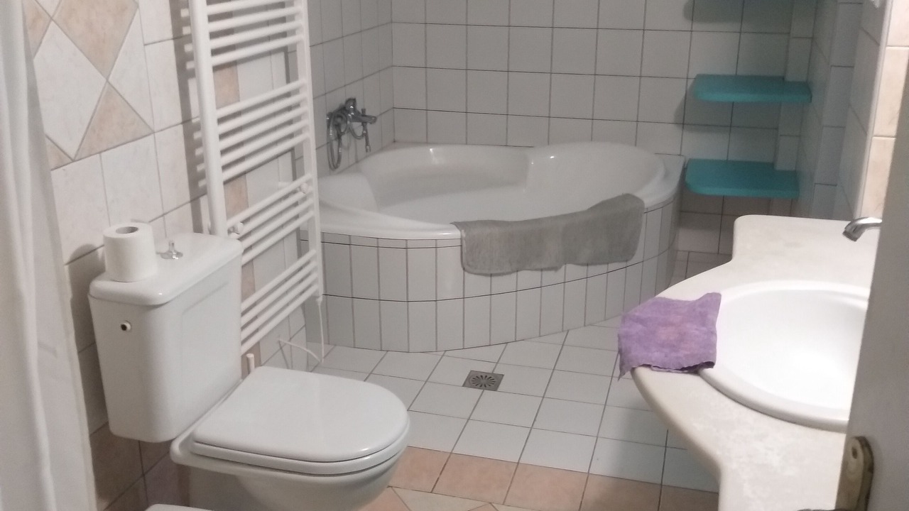 Photo of Bathroom in Panormos