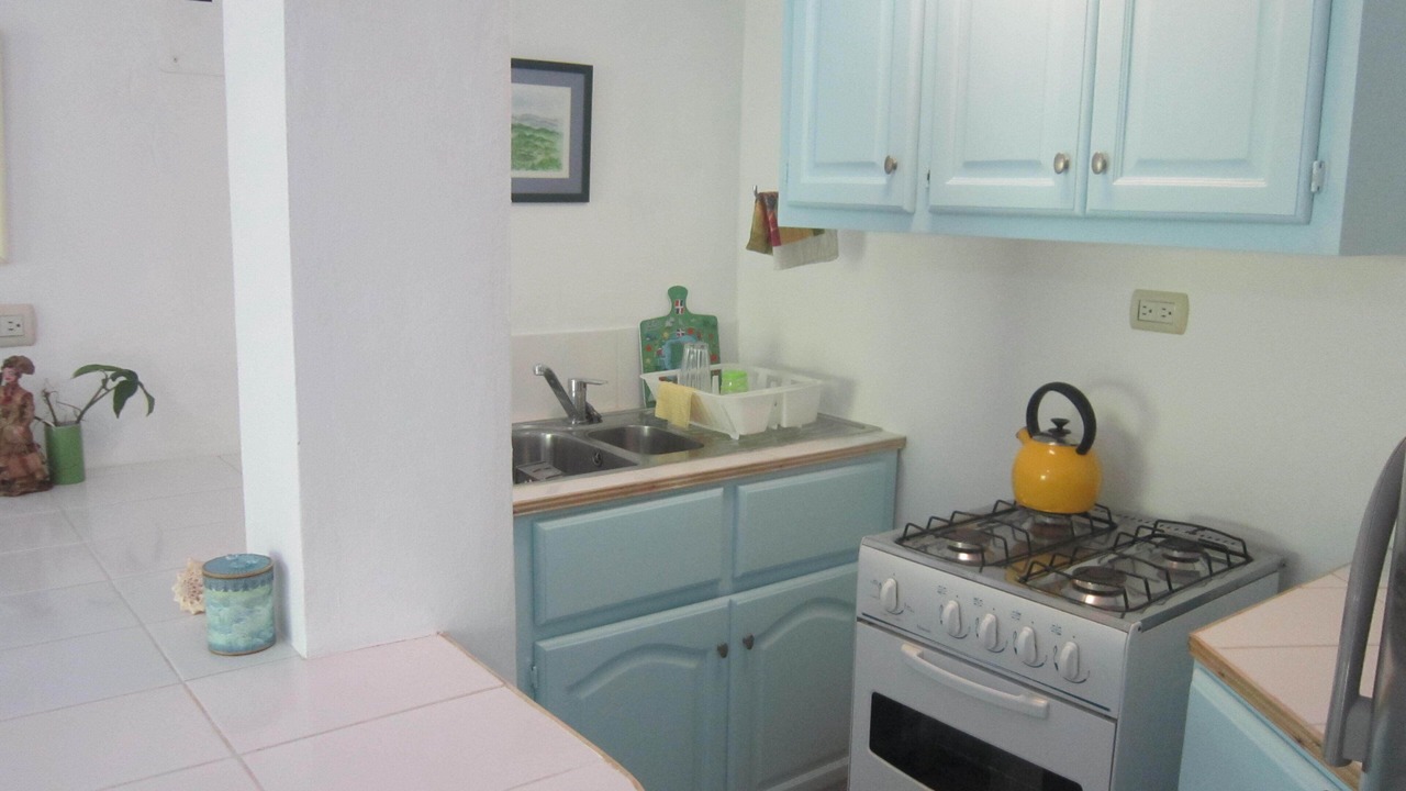Photo of Kitchen in Luperon