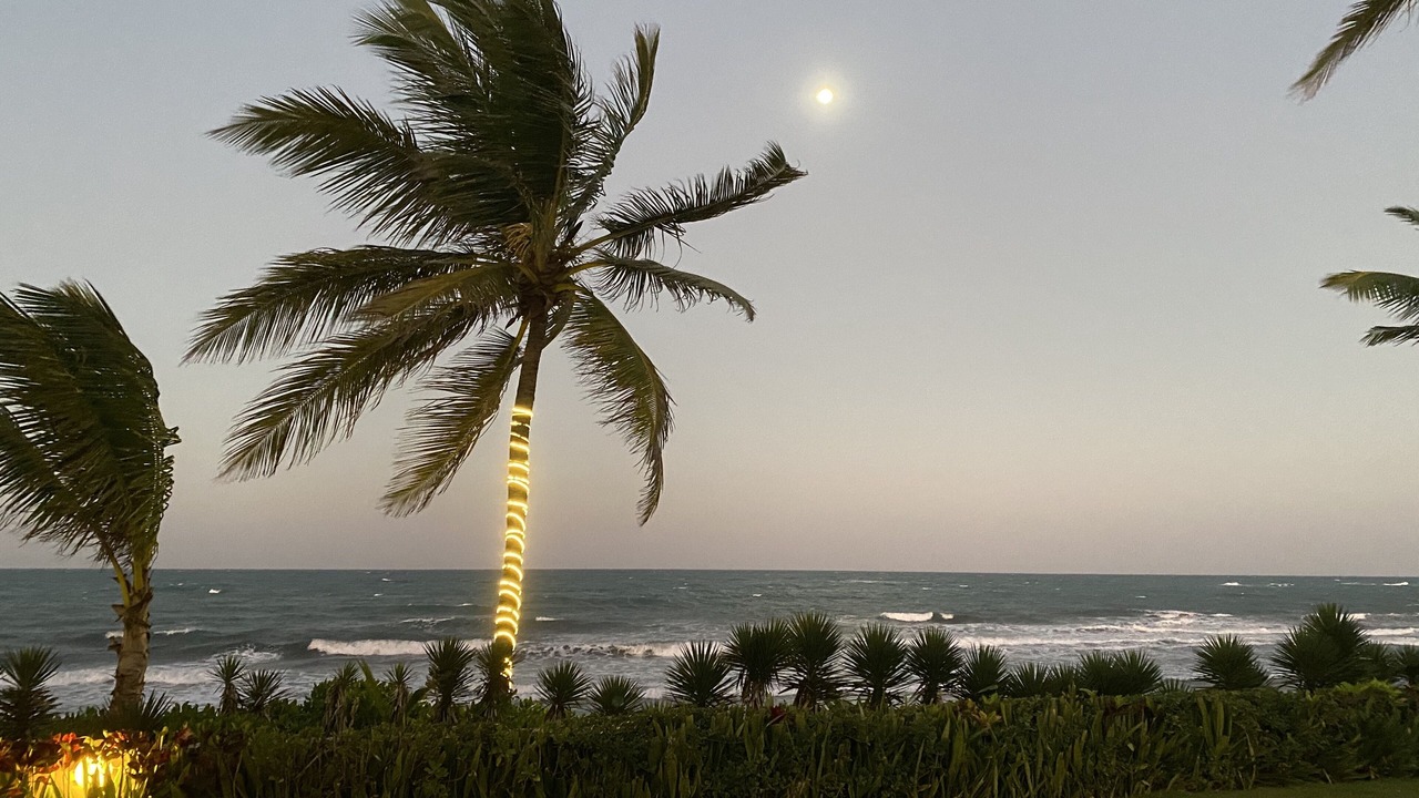 Photo of Others in Cabarete