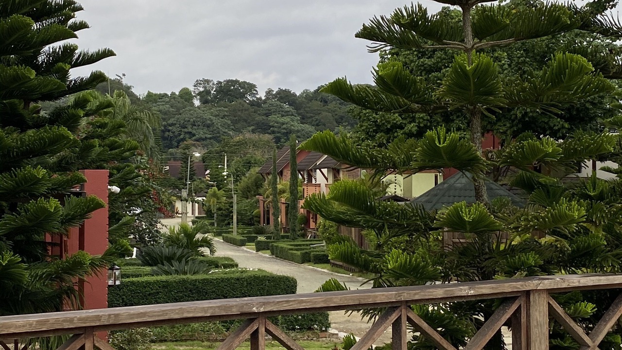 Photo of Outdoor in La Joya