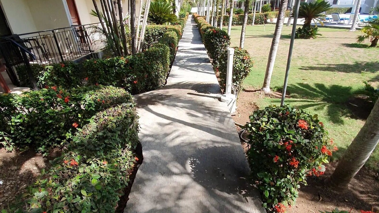 Photo of Outdoor in Playa Chiquita