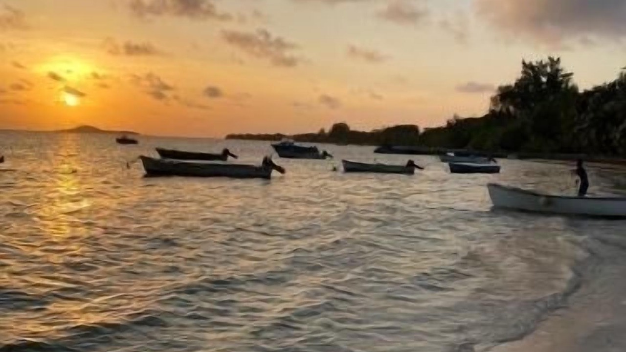 Photo of Others in Grand Anse