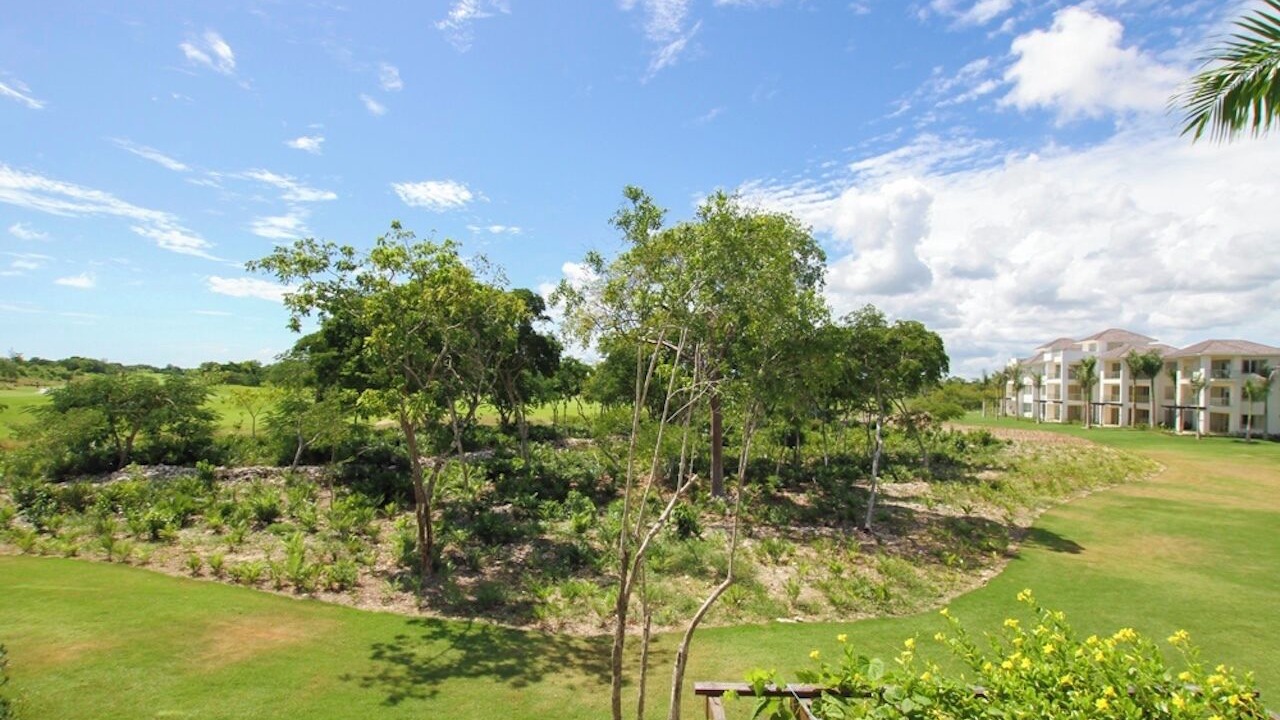 Photo of Others in Punta Cana