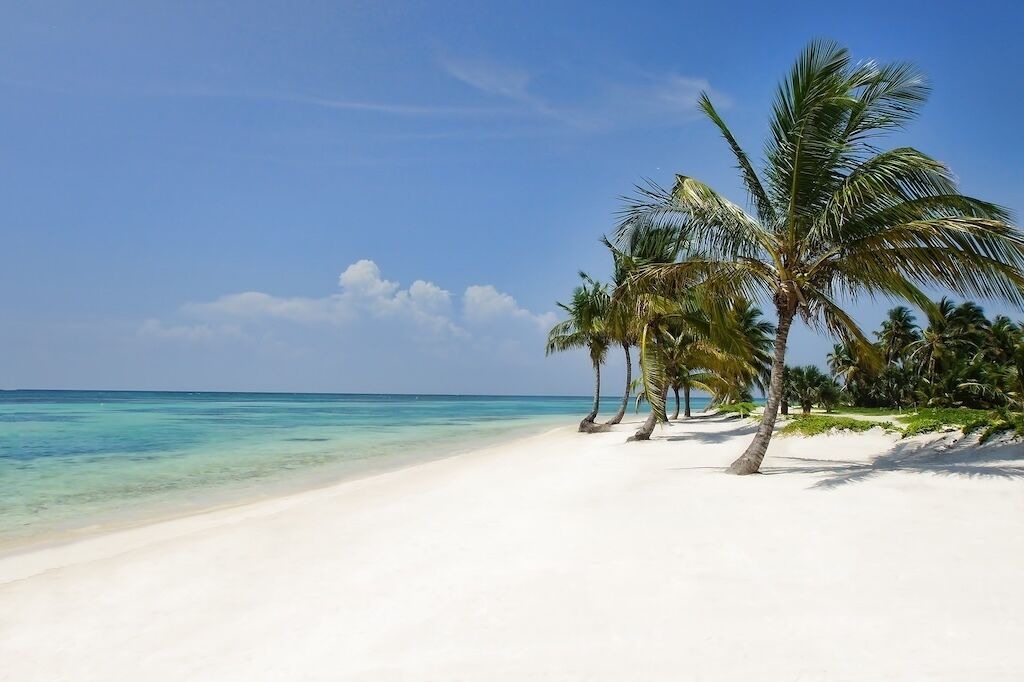 Photo of Others in Punta Cana