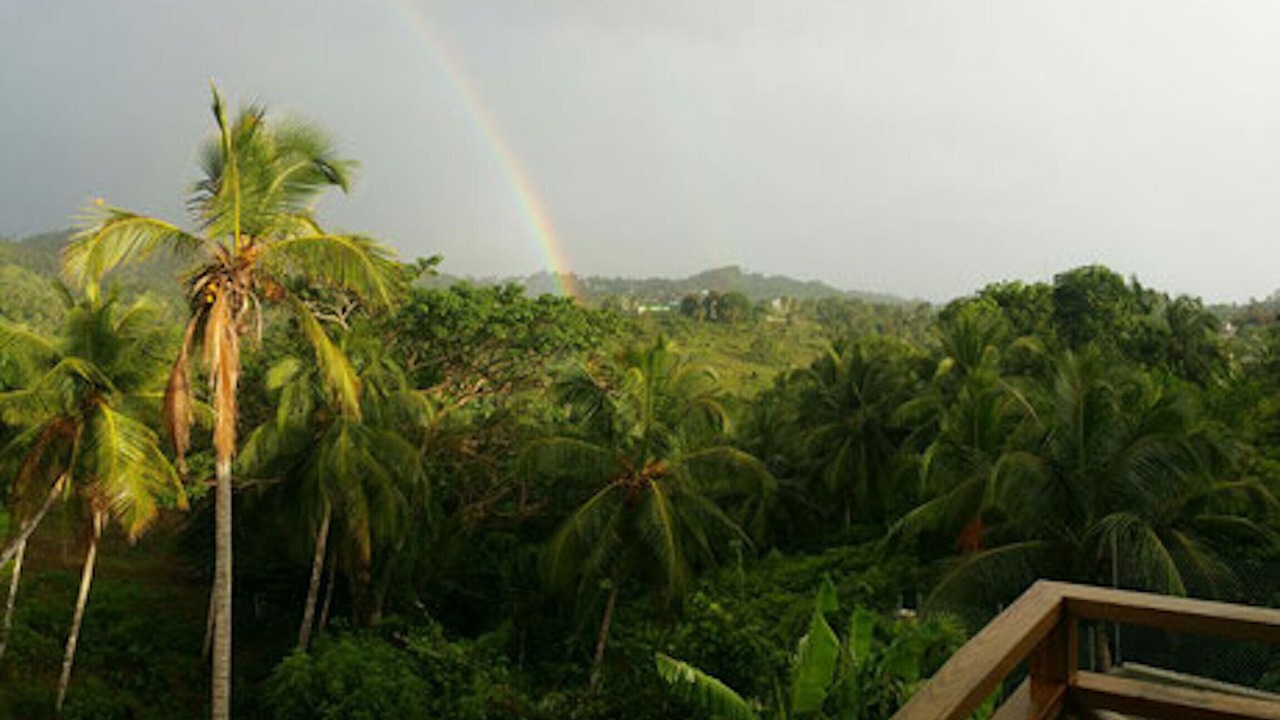 Photo of Outdoor in Samana