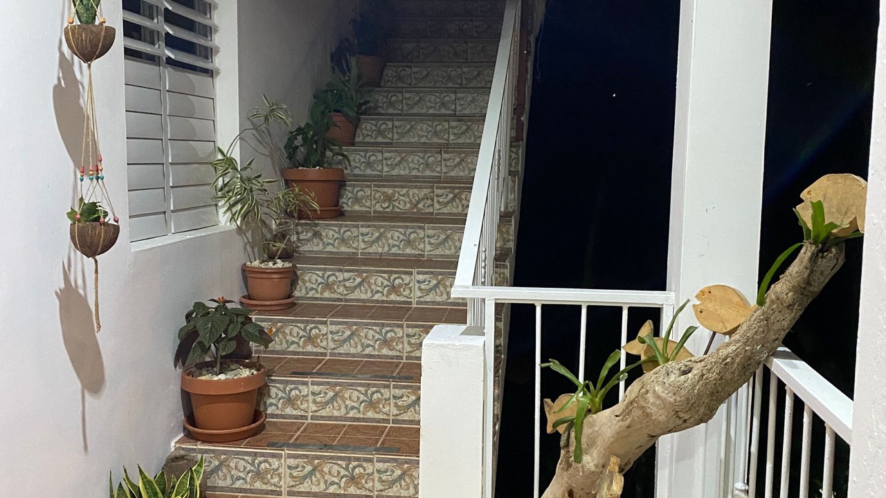Photo of Outdoor in Samana