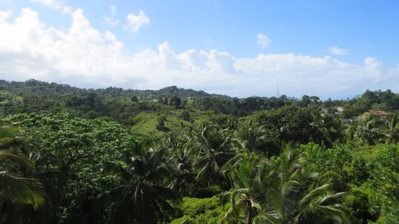 Photo of Others in Samana