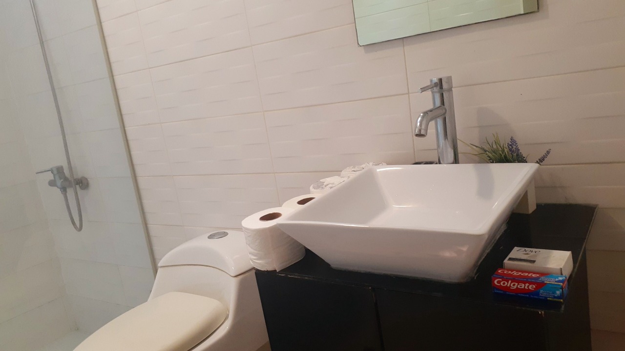 Photo of Bathroom in Ensanche Naco
