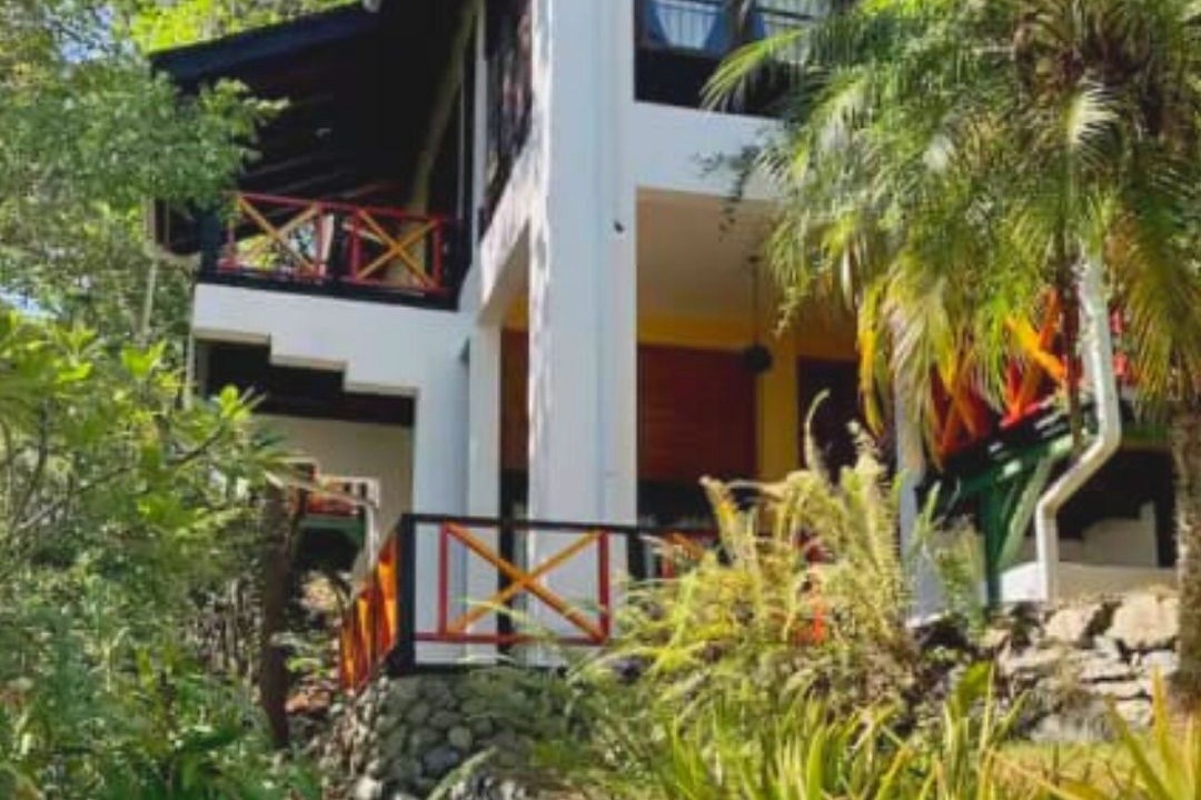 Photo of Outdoor in La Vega