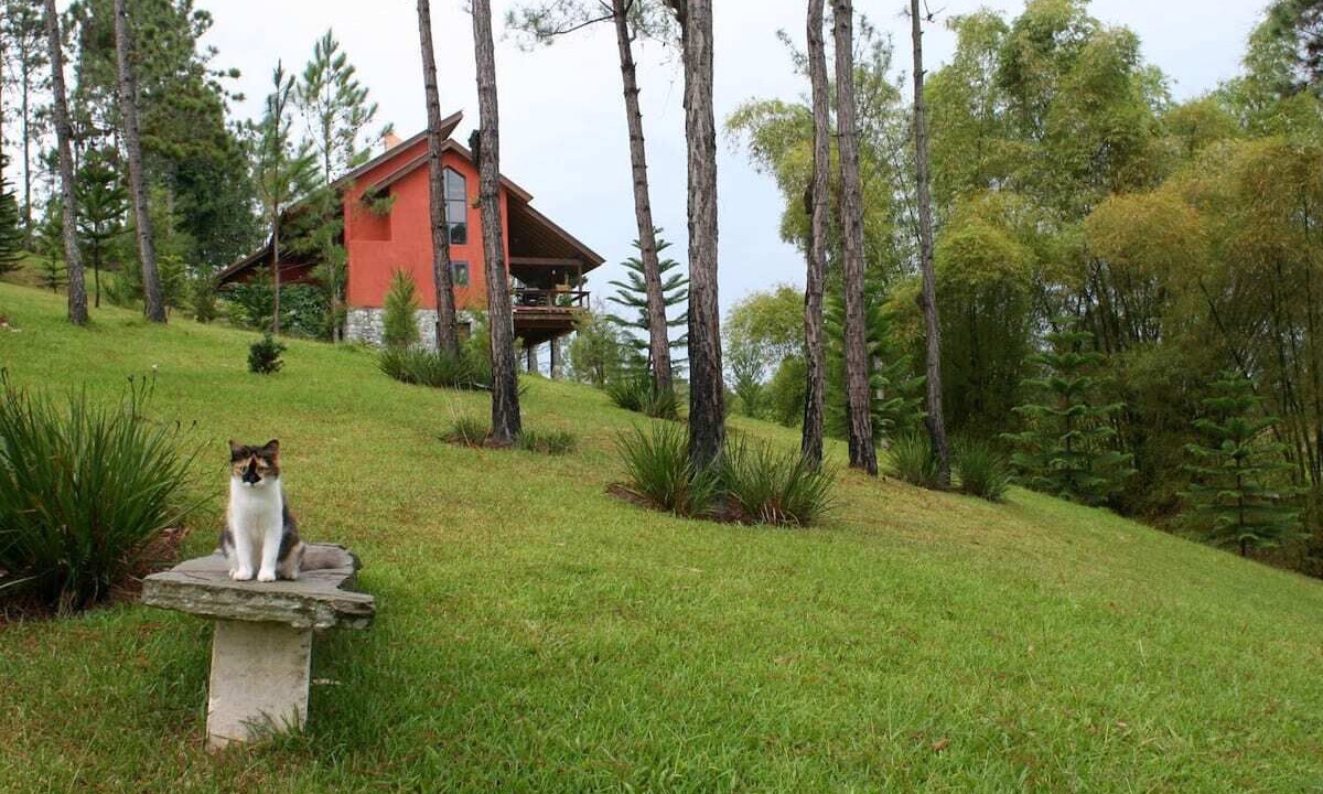 Photo of Outdoor in Jarabacoa