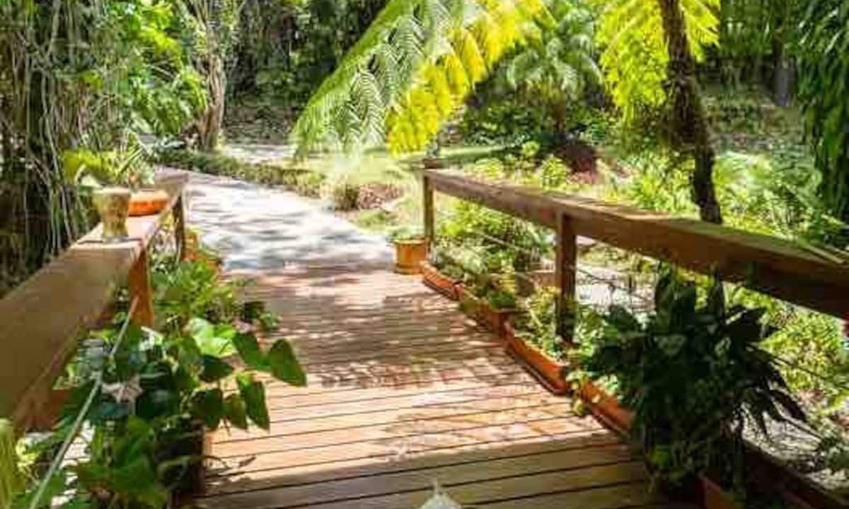 Photo of Outdoor in Jarabacoa