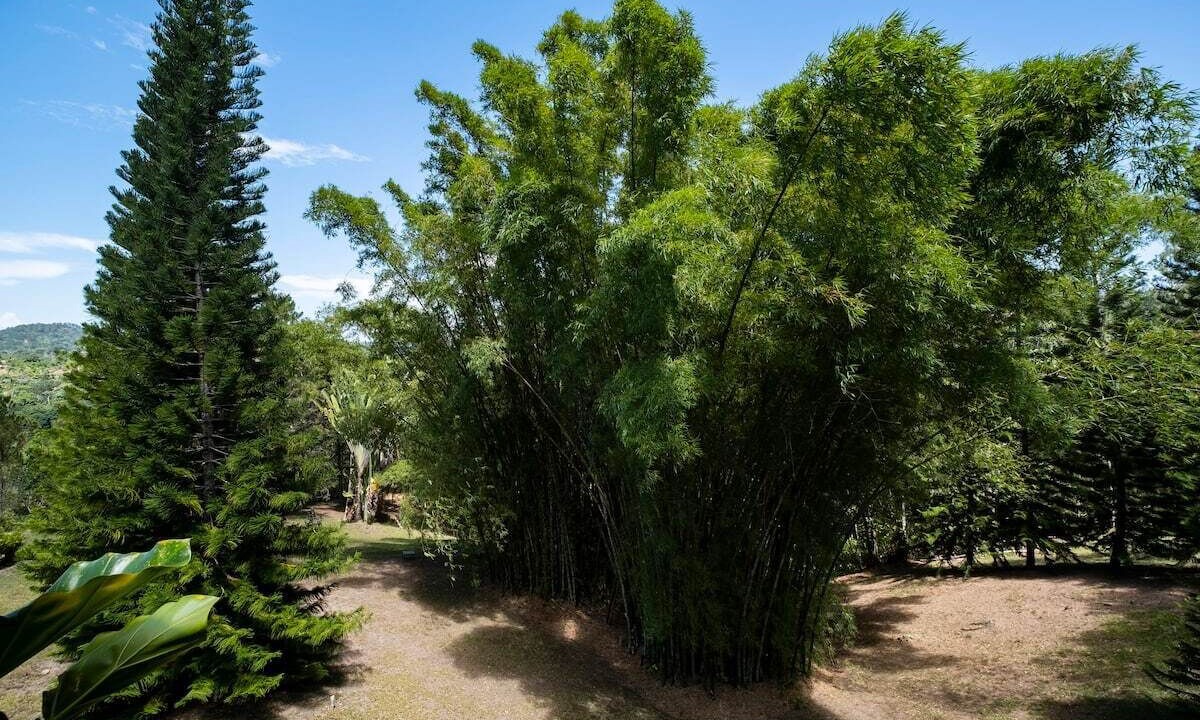 Photo of Outdoor in Jarabacoa