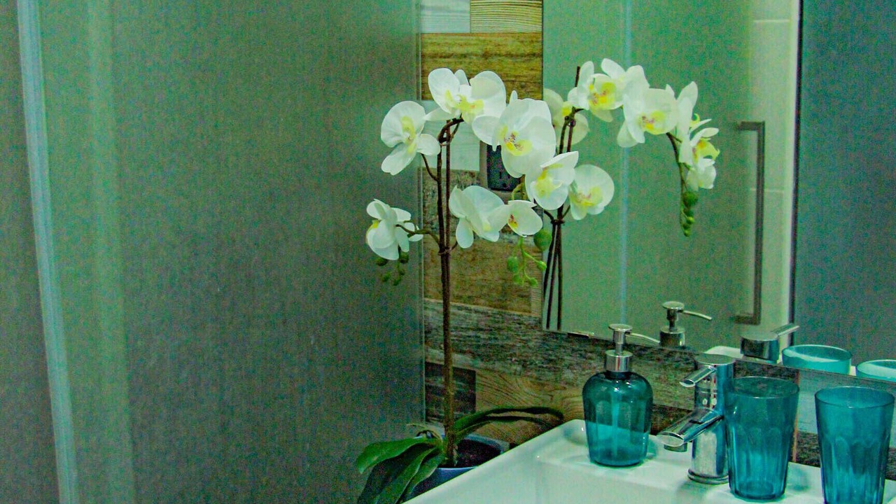 Photo of Bathroom in Downtown Santo Domingo
