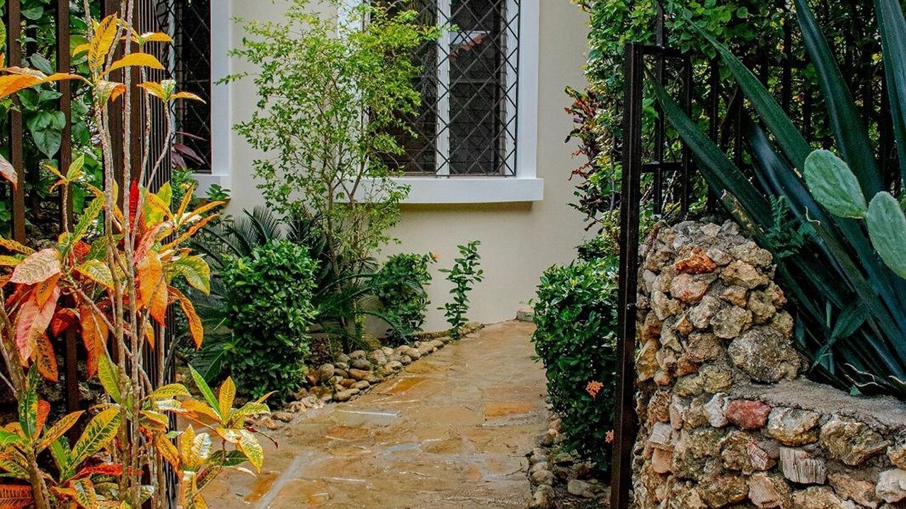 Photo of Outdoor in Sosua