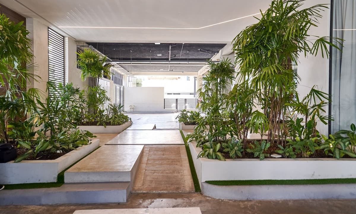 Photo of Outdoor in Santo Domingo