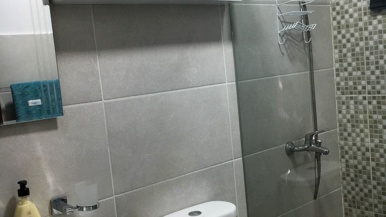 Photo of Bathroom in Santo Domingo Oeste