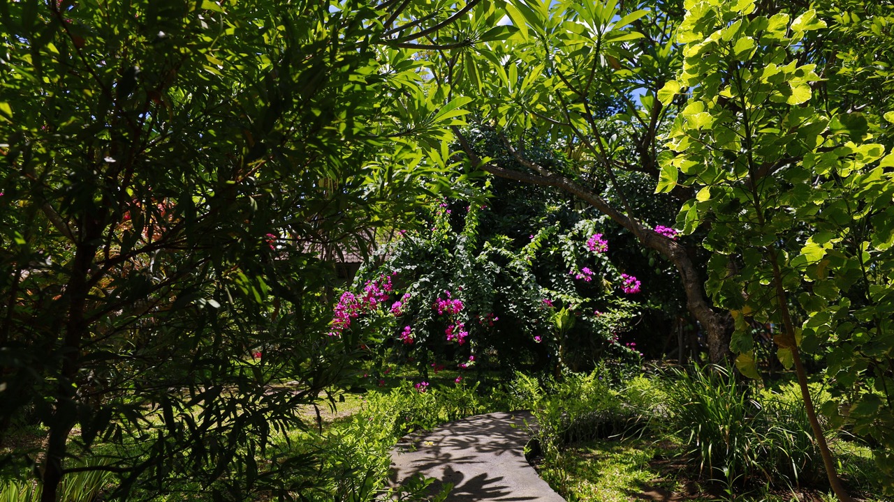 Photo of Outdoor in Purwakerti