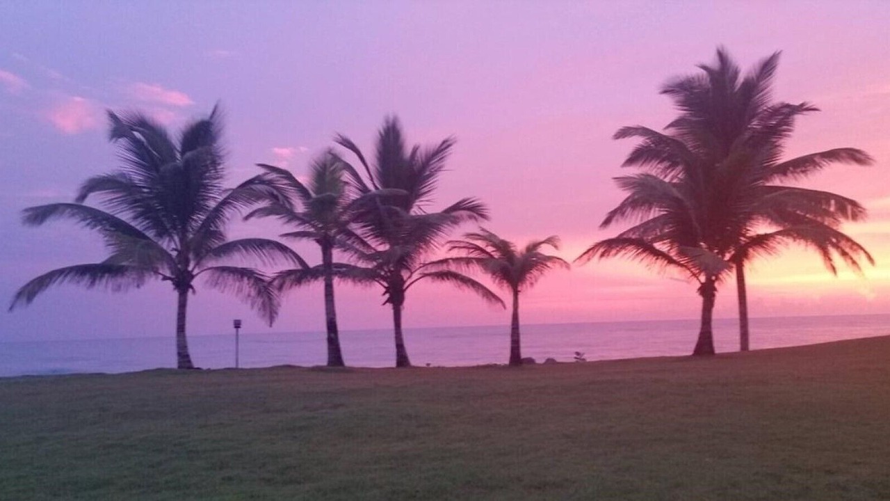 Photo of Others in Cabarete