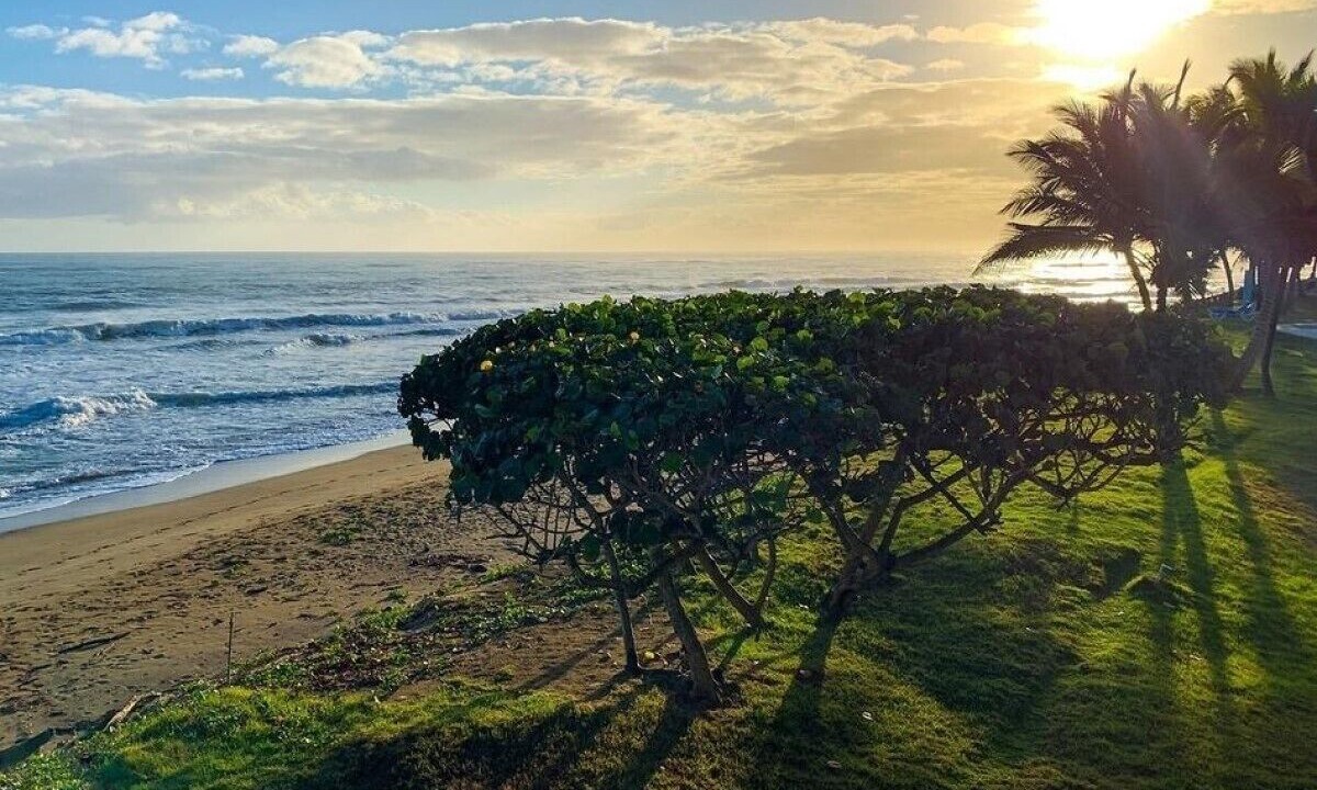 Photo of Others in Cabarete
