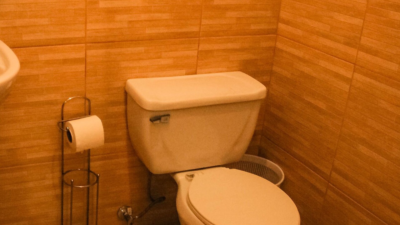 Photo of Bathroom in La Vega Province