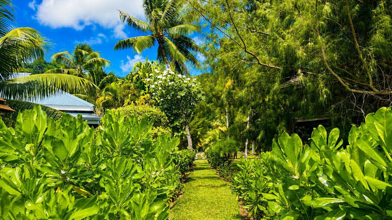 Photo of Outdoor in Moorea-Maiao