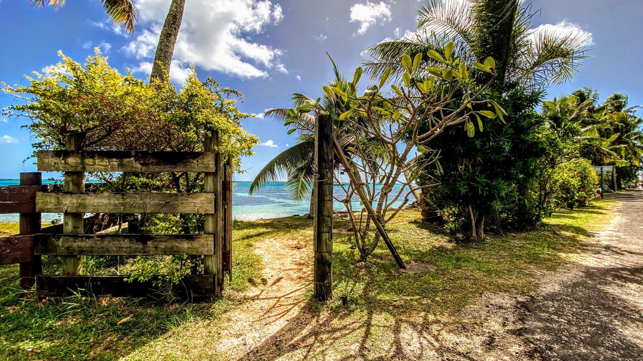 Photo of Others in Pihaena