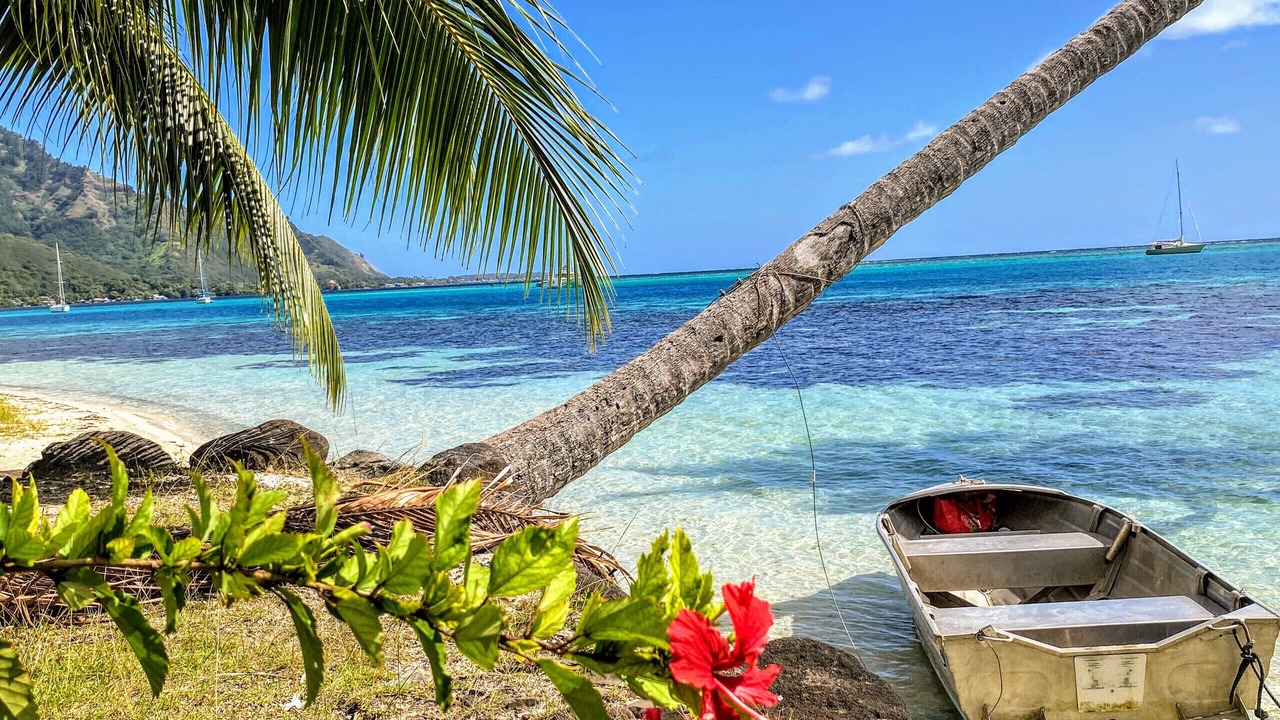 Photo of Others in Pihaena