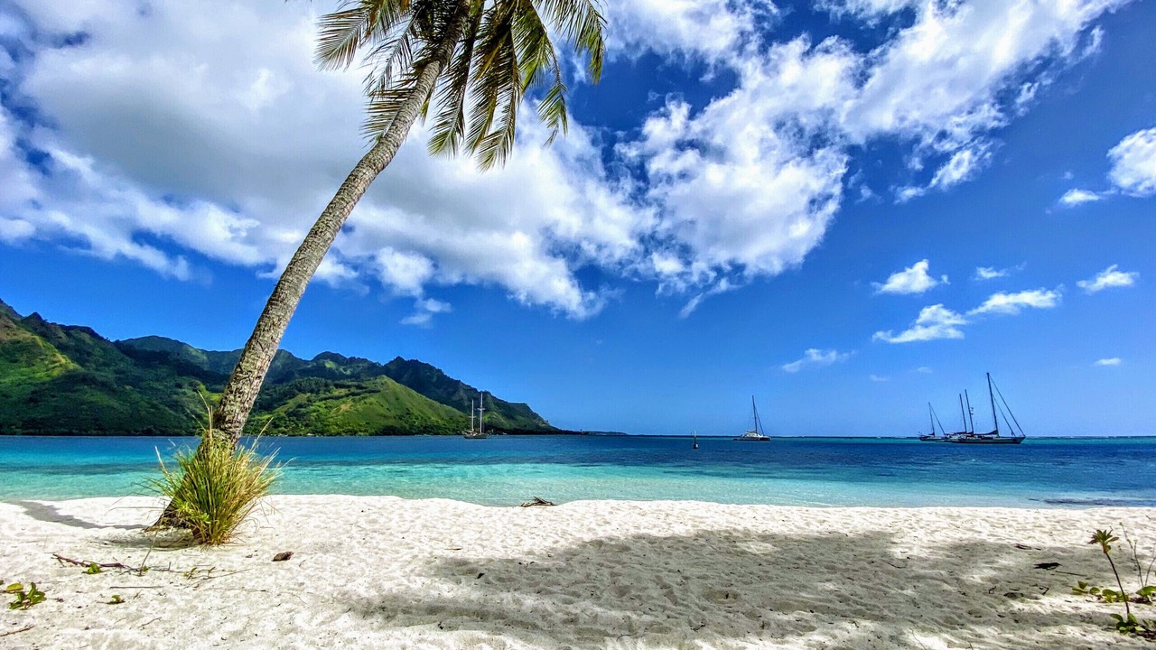 Photo of Others in Pihaena