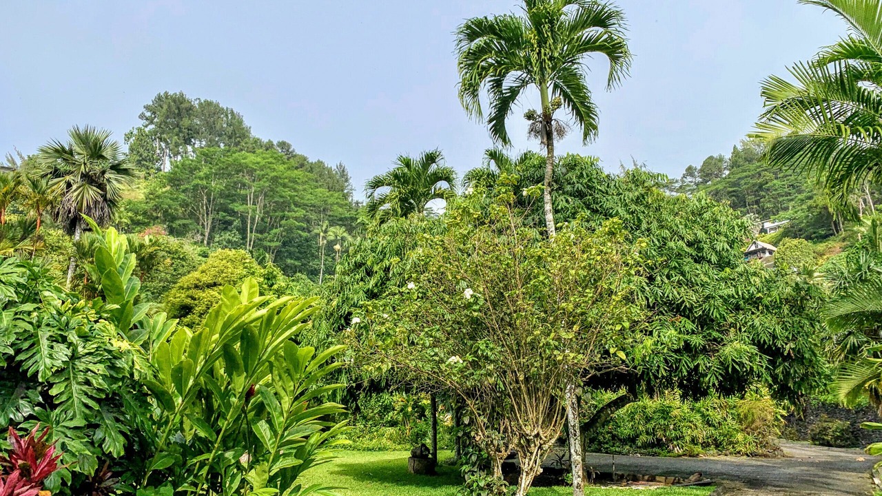 Photo of Others in Mahina
