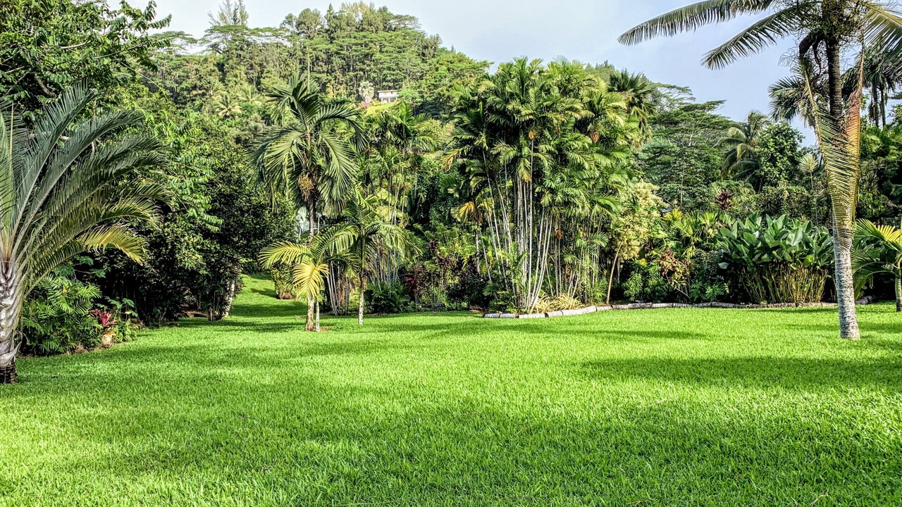 Photo of Outdoor in Mahina