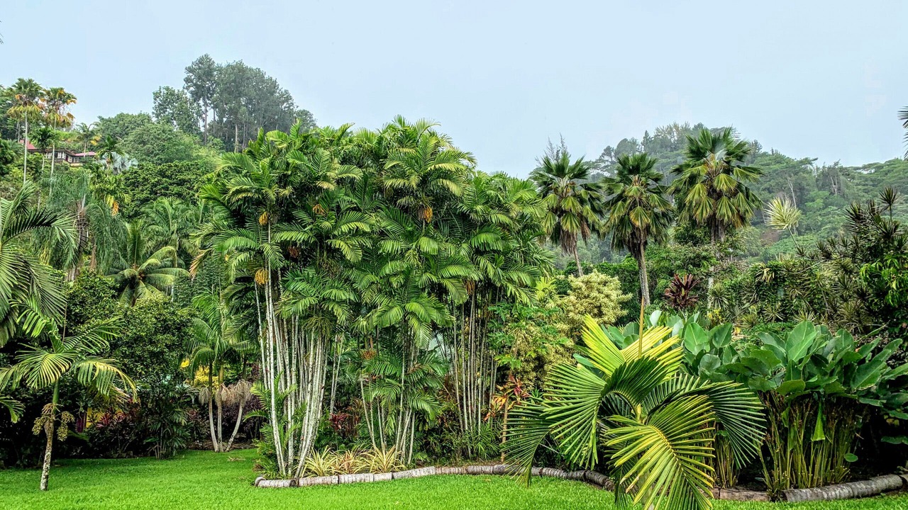 Photo of Others in Mahina