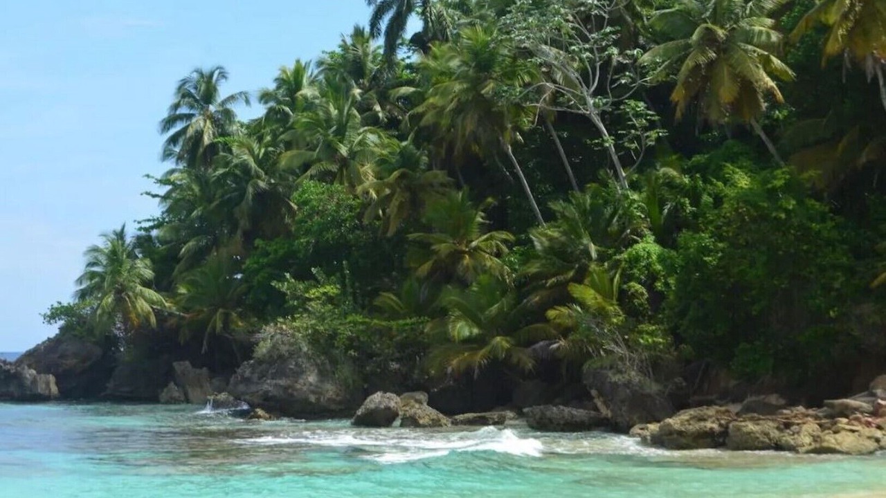 Photo of Others in La Mulata