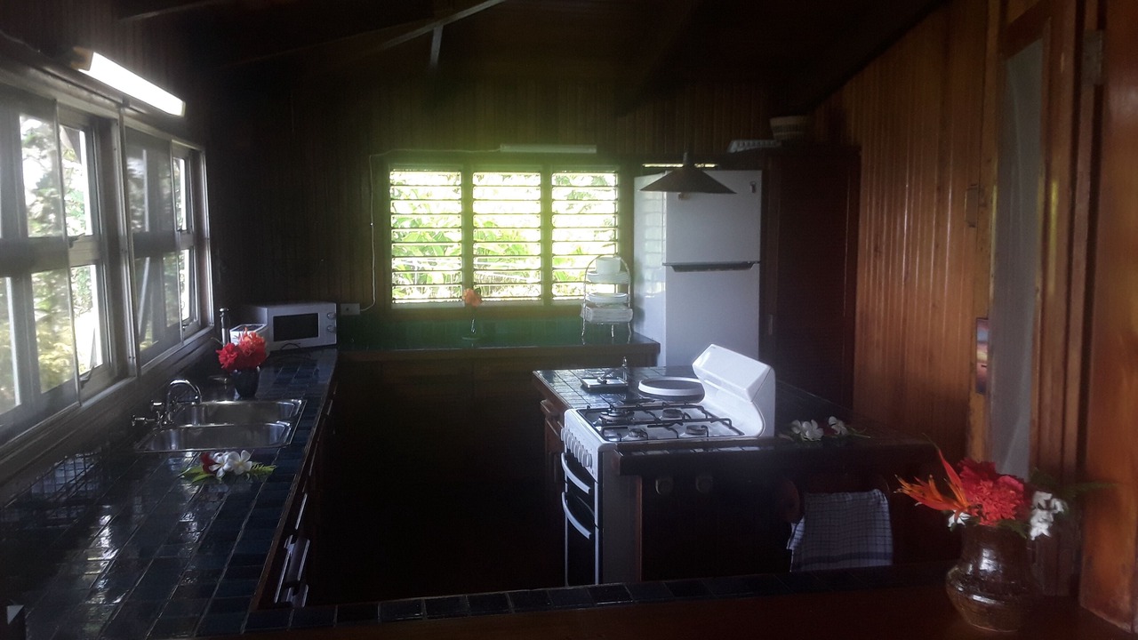 Photo of Kitchen in Taveuni Island East