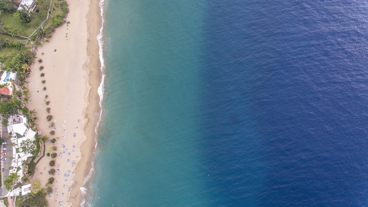 Photo of Others in Playa Chiquita