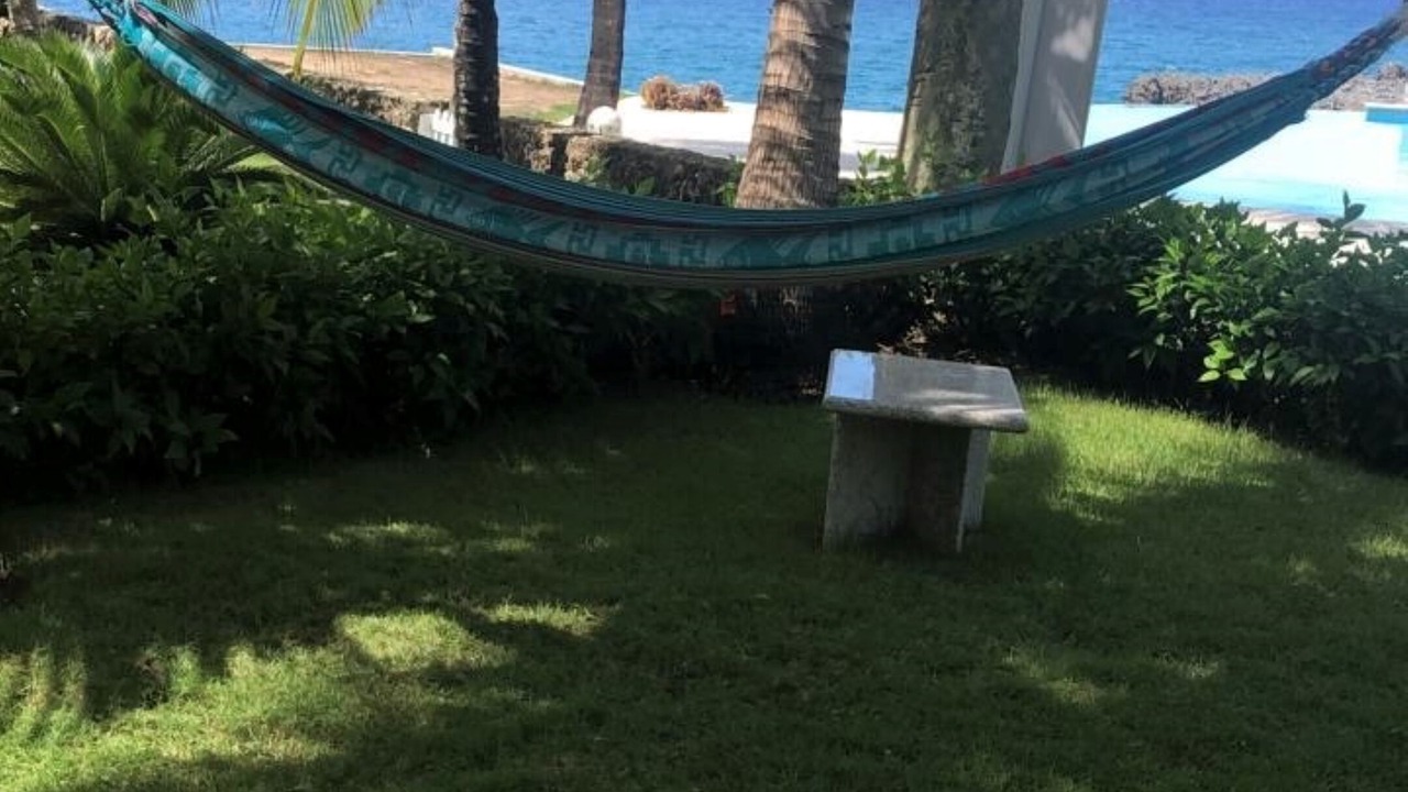 Photo of Outdoor in Playa Chiquita