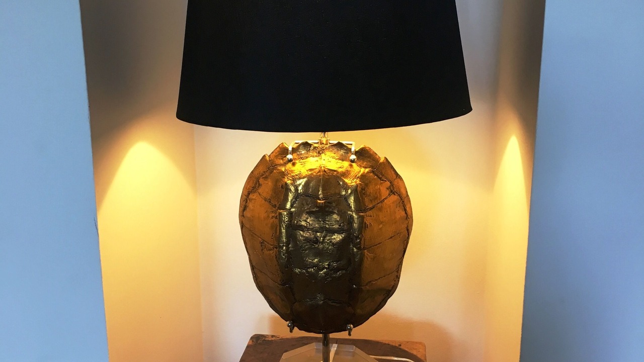 Photo of Others in Cabarete