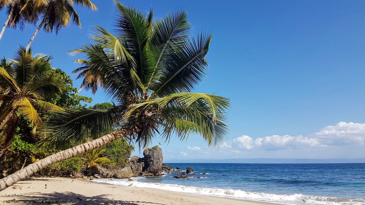 Photo of Others in Samana