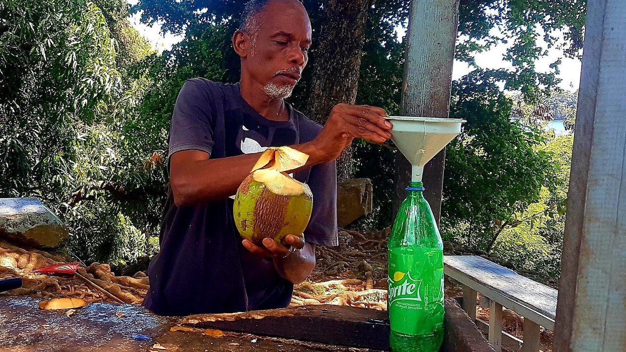 Photo of Outdoor in Samana