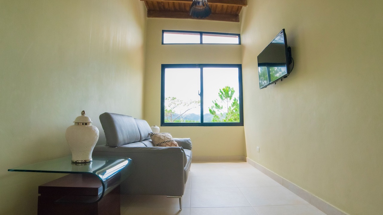 Photo of Livingroom in Constanza